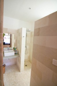 Dwonstairs-Bathroom